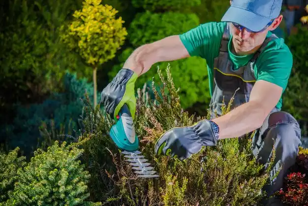 landscaping services Skidway Lake